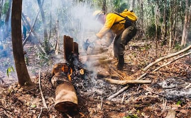 ImagenSe extiende incendio selva maya