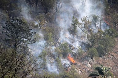 ImagenConsumen incendios cerros en Veracruz 