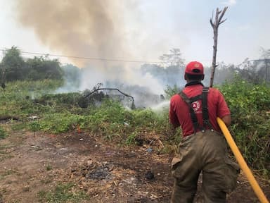 ImagenAmenazan incendios zona protegida del Usumacinta