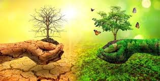 Concluirá 2024 como el año más caluroso de la historia