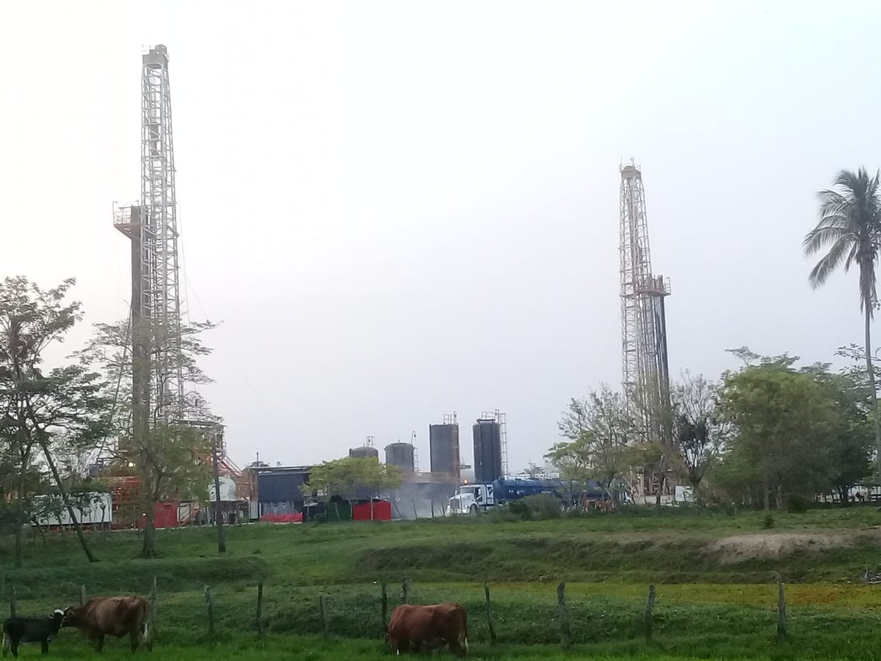 Pemex sin castigo por daño a ecología