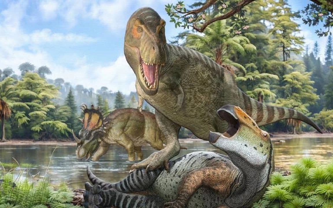 Abuelo del 'Tyrannosaurus rex' llegó por el estrecho de Bering a Norteamérica