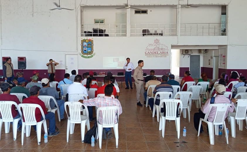 Capacitan a comisarios sobre barrenador en Campeche