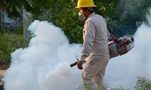 ImagenMantiene Tabasco primer lugar en incidencia de Dengue