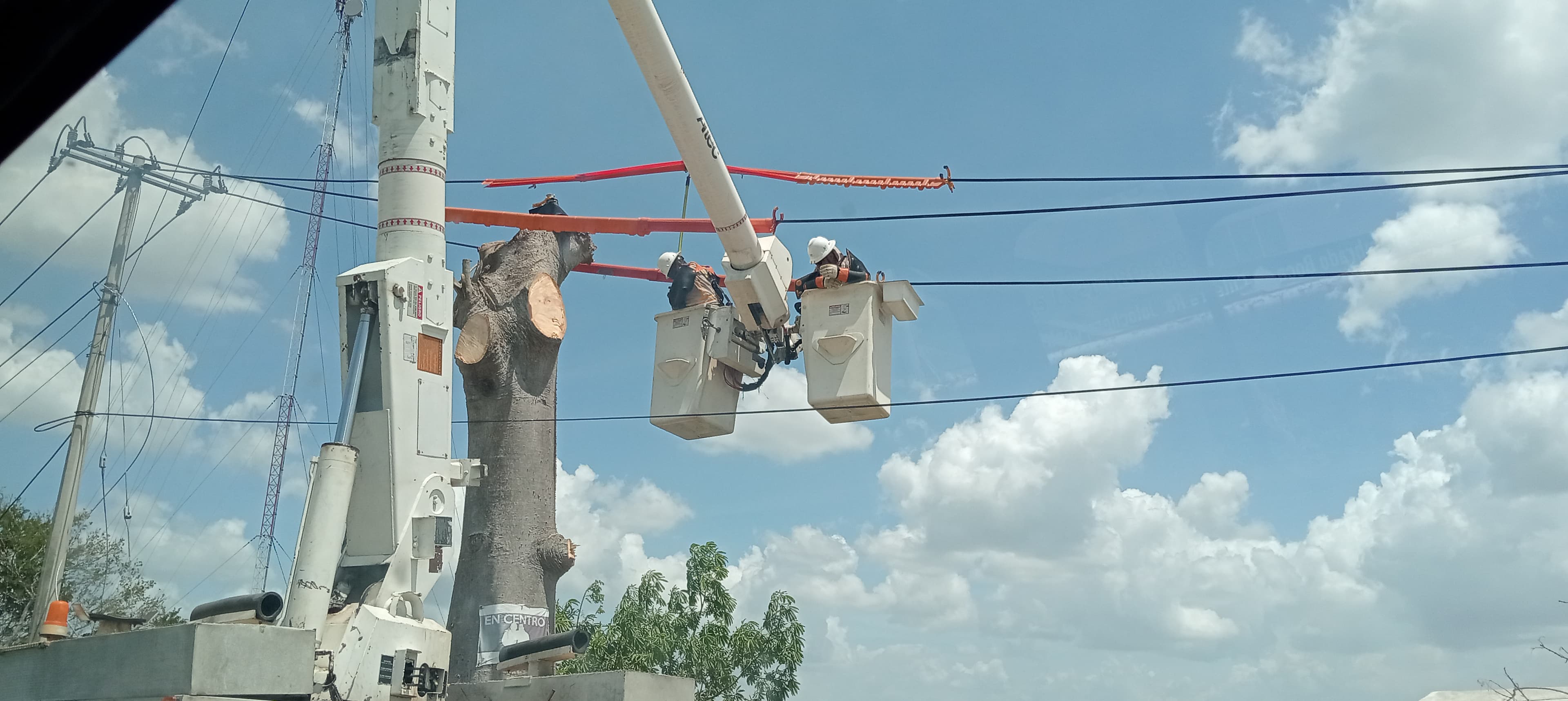 CFE dejó 30 años sin mantenimiento a red eléctrica, admiten chontales