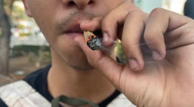 ImagenDan primer permiso para consumo de mariguana en Chiapas 