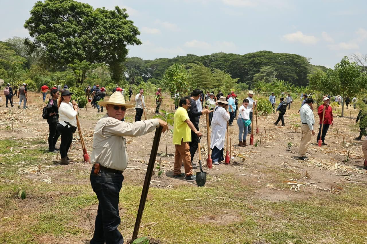 Se suman 2 mil tabasqueños a jornada nacional de reforestación 