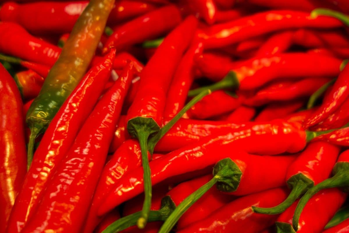 Comer picante reduce males cardiovasculares y cerebrovasculares