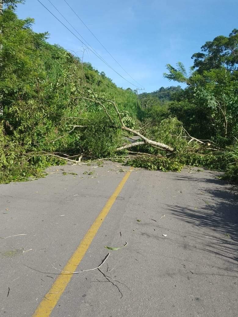 “Autónomos” bloquean entradas y salidas en Tila