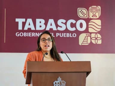 ImagenAnticipa gobierno subida de precios de luz por invierno