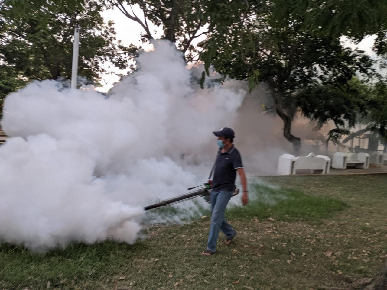 Van con todo contra el dengue 