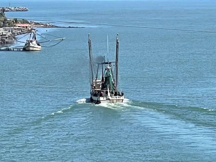 Barco deja sin electricidad a 20 colonias de Alvarado 