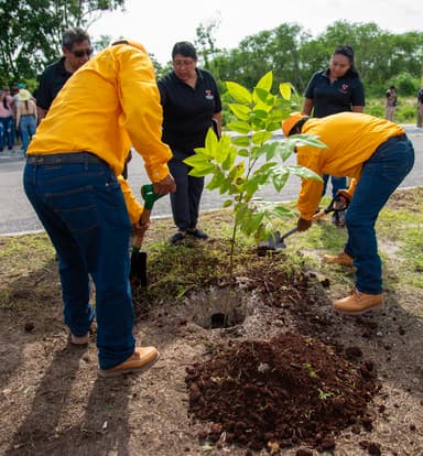 ImagenArranca campaña Plantando el Futuro 
