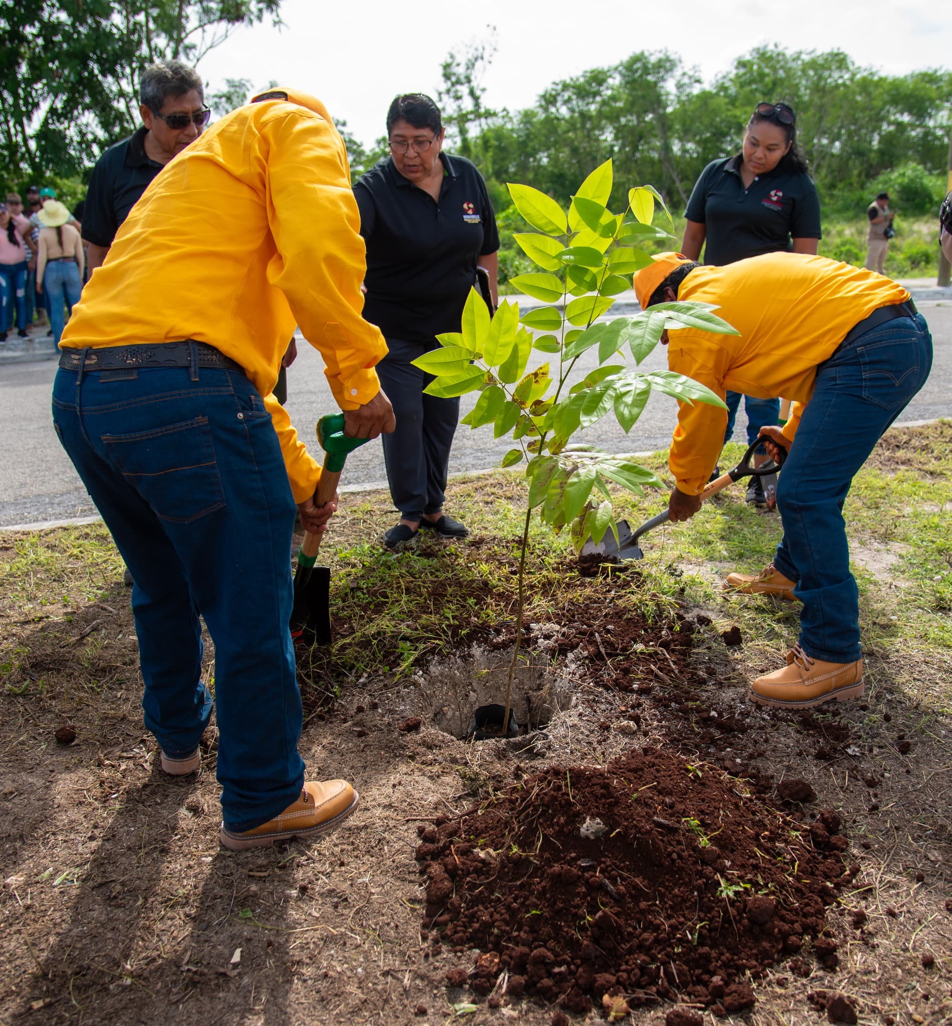 Arranca campaña Plantando el Futuro 