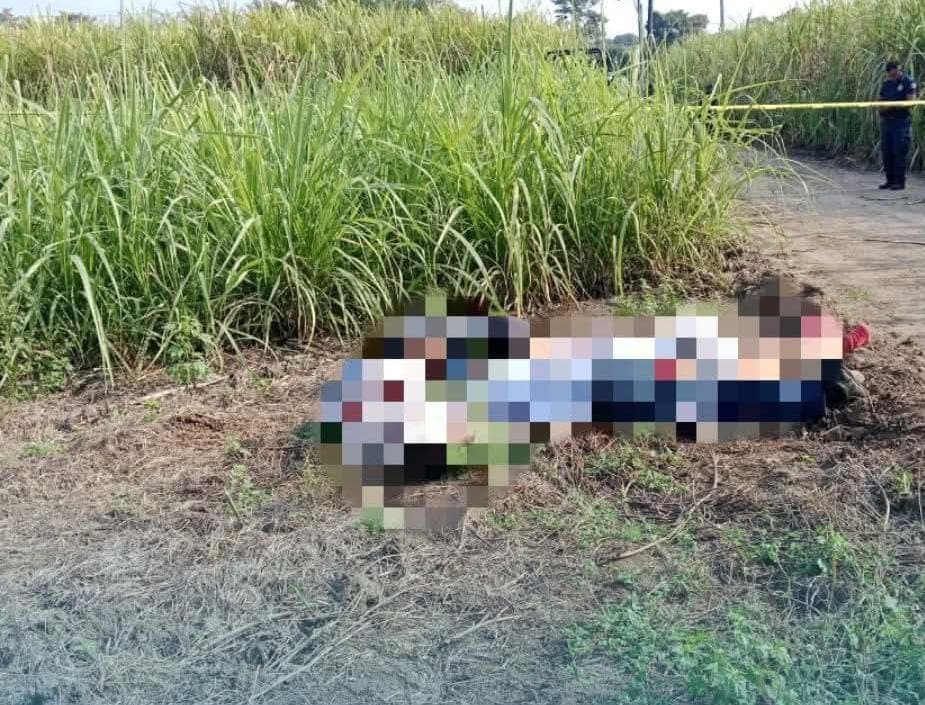 En camino de Oaxaca y Veracruz encuentran muertos a cuatro trabajadores de CFE