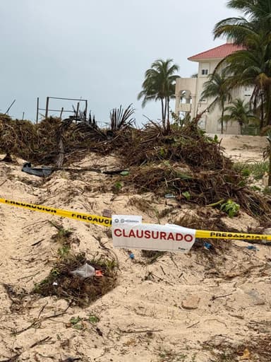 ImagenRechaza Semarnat proyecto Playa 35, por santuario de anidación de tortugas marinas 