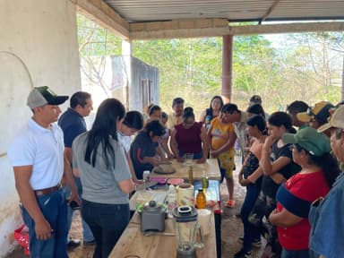 ImagenPierde miel de Campeche su valor por falta de respaldo