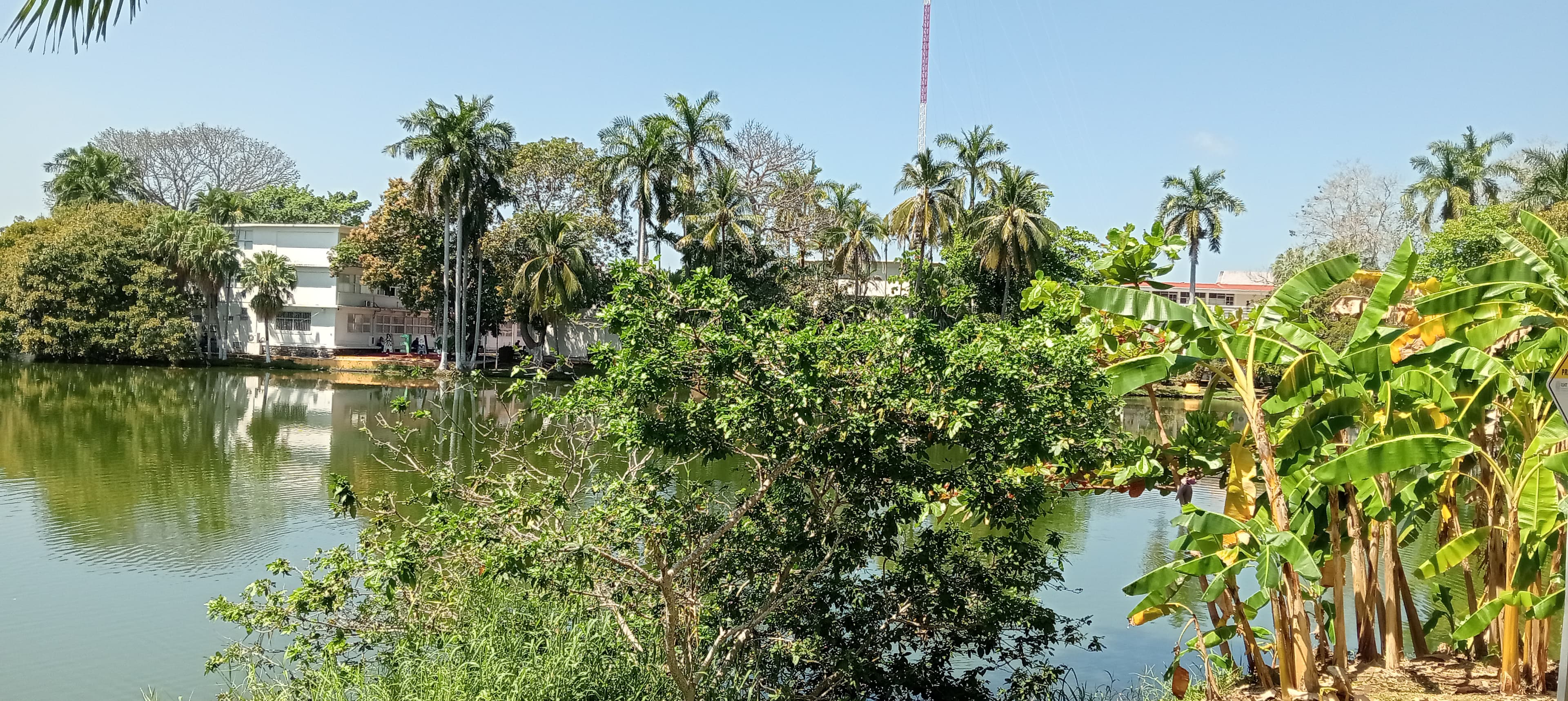 Este lunes Tabasco tendrá temperaturas moderadas 