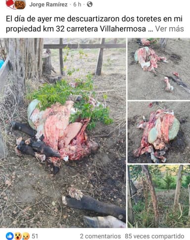 Imagen'Aguanten vara', advierten a cuatreros 