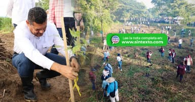 ImagenSiembra Tabasco 2.6 millones de árboles contra deforestación