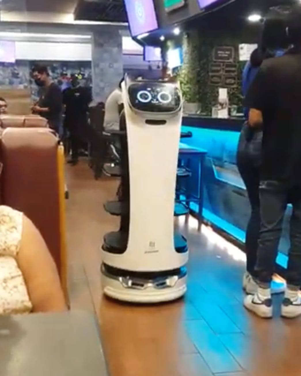 Ya hay meseros “robots” en restaurantes de Boca del Río