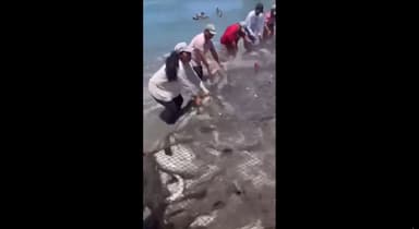 ImagenTras mega pesca de robalo en Alvarado bajan de precio 