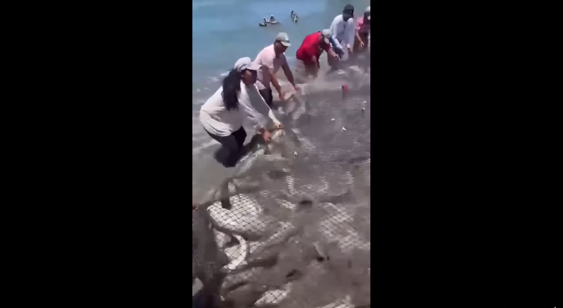 Tras mega pesca de robalo en Alvarado bajan de precio 