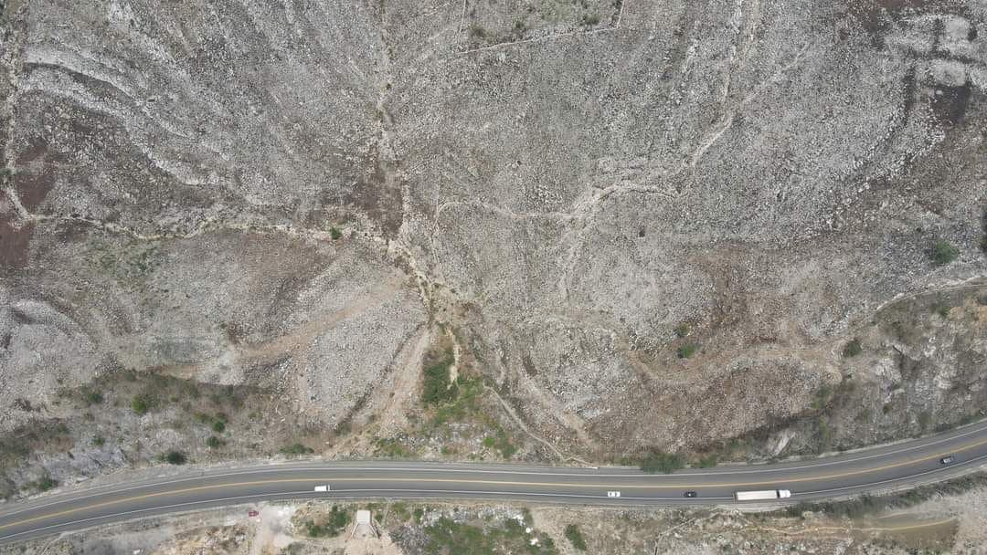 Ganadería y agricultura deforestan Chiapas 