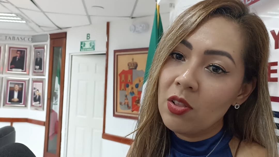 #ElecciónJudicial: sólo 1,482 visualizaciones en micrositio "Conóceles"