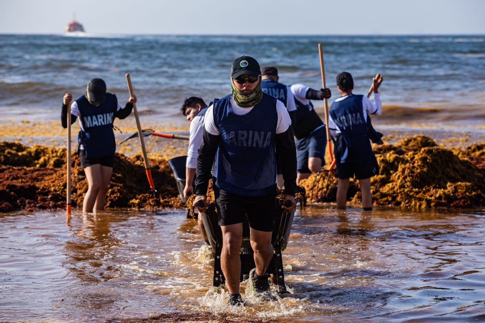 Retiran a diario 200 toneladas de sargazo en Playa del Carmen