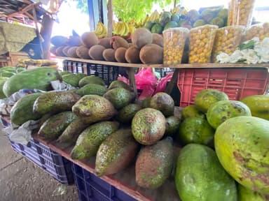 ImagenEscasez chinín por ola de calor 