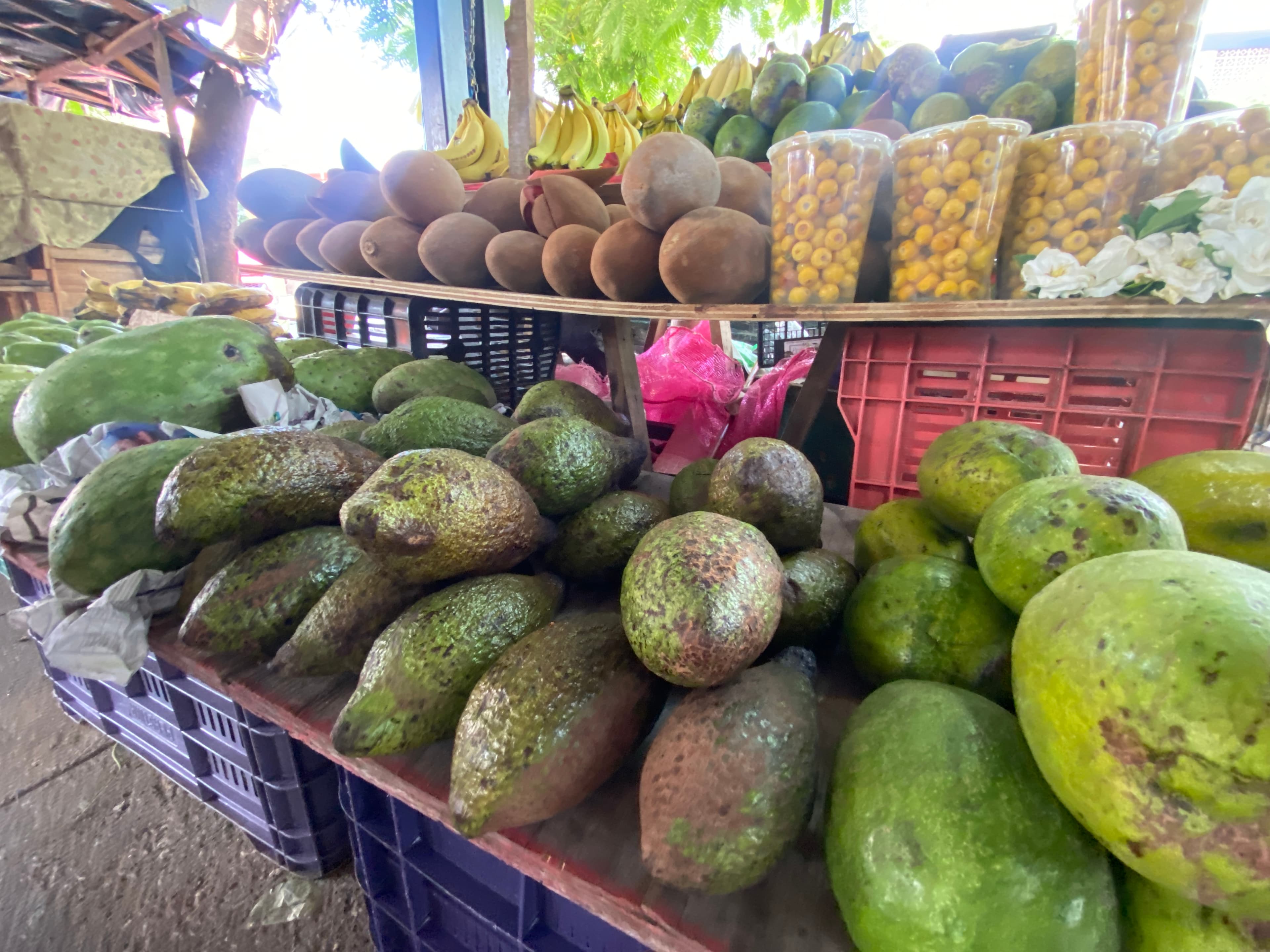 Escasez chinín por ola de calor 