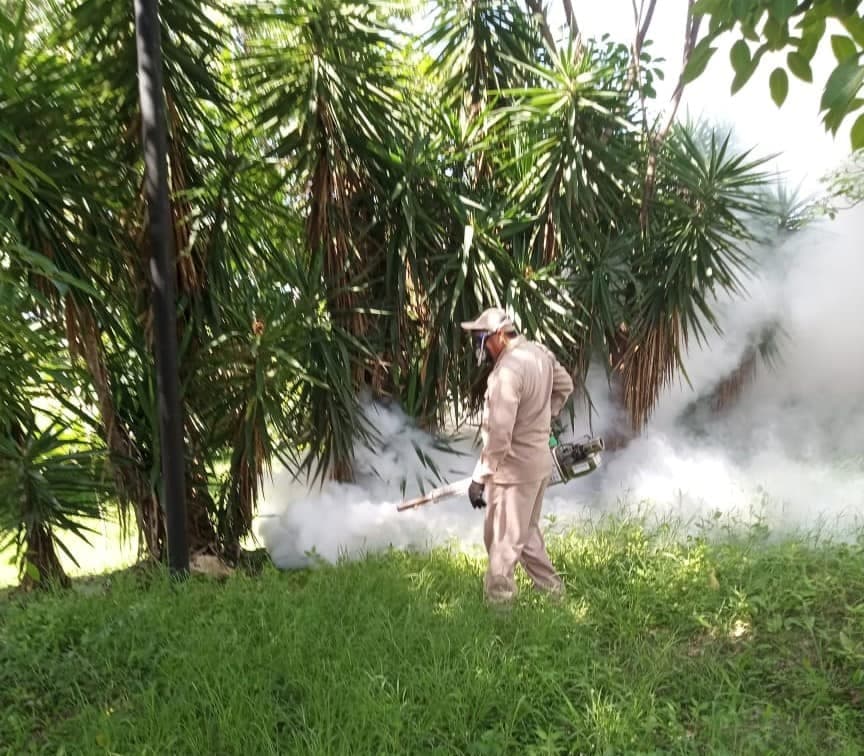 18 nuevos casos de dengue en Campeche