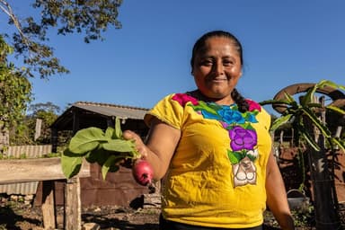 ImagenMujeres de Champotón crean huertos de traspatio 