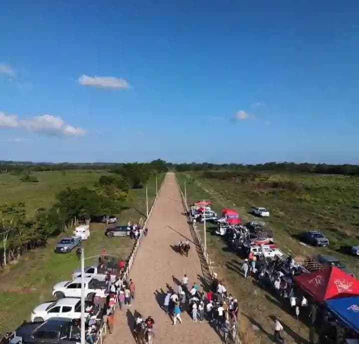 Prohíben carreras de caballos y peleas de gallos 