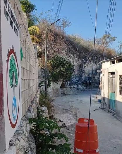 Clausuran en Campeche Anexo "Camino al Árbol de la Vida"