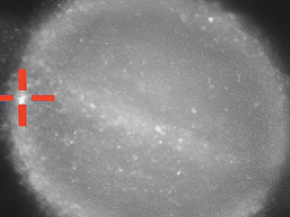 Buscan identificar objeto desconocido que impactó en Saturno