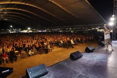 ImagenParticipan 300 artistas locales en Feria Playa del Carmen 