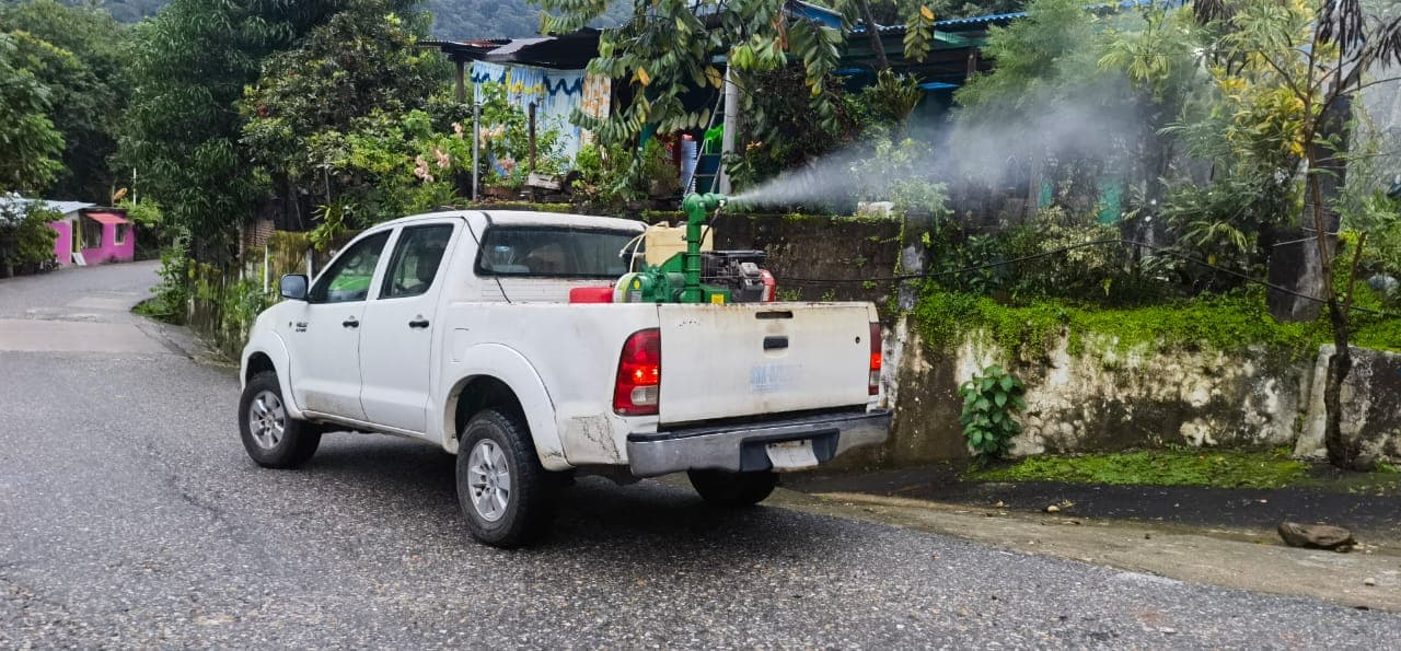 Dengue, Zika y Chikungunya están haciendo mucho daño