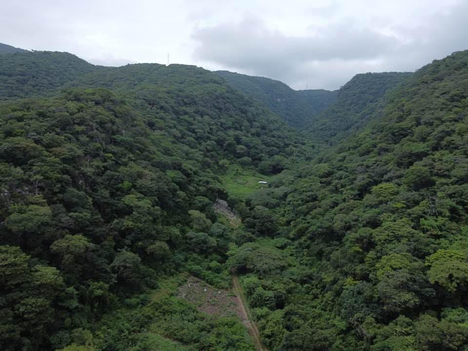 Clausuran desarrollo que invadía áreas naturales en Chiapas