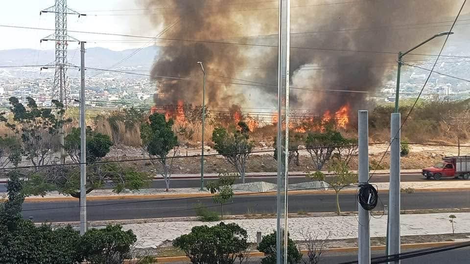 Consumen incendios 5 mil hectáreas de bosques y pastizales  en Chiapas