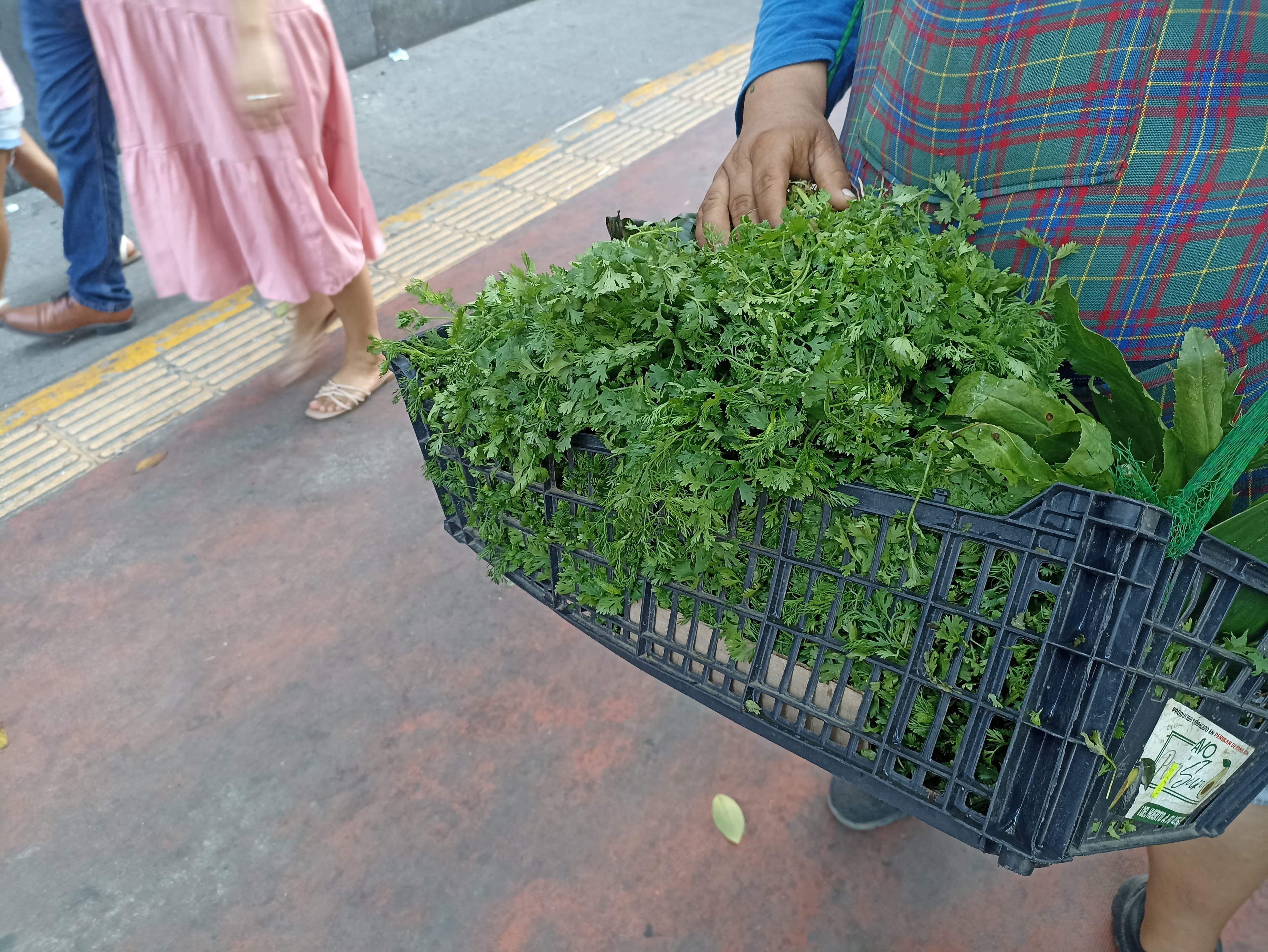 Tiene Ayuntamiento de Centro favoritismo en ambulantaje 