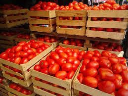 Incrementa tomate y huevo en Campeche