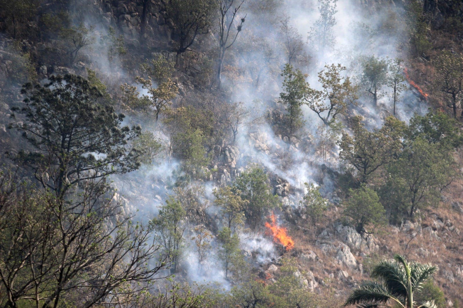 Consumen incendios cerros en Veracruz 
