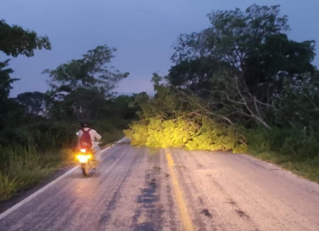 Bloquea tormenta carretera Palizada-Jonuta en Campeche