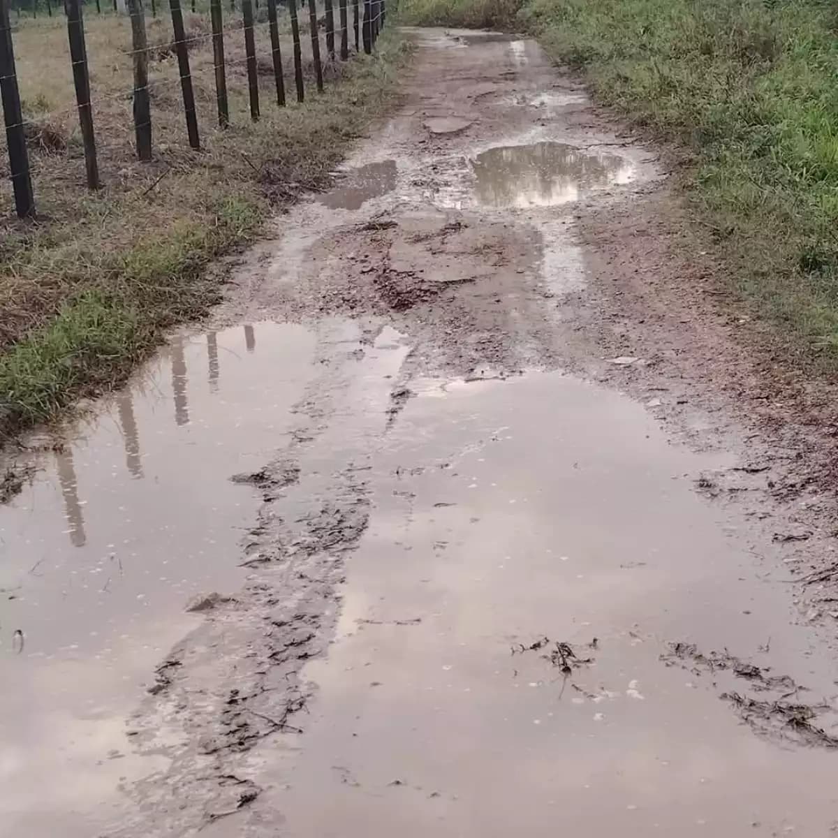 Denuncian ganaderos caminos saca cosecha inservibles 