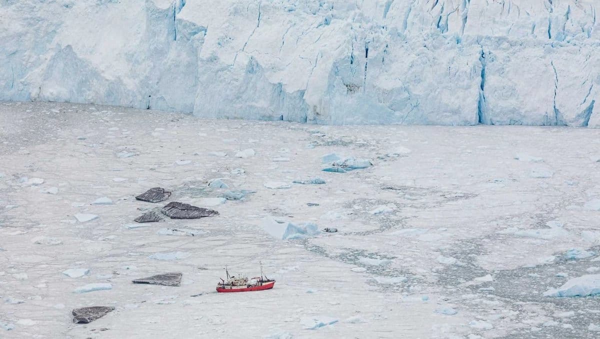 Desprendimiento de icebergs impulsa retroceso de glaciares en Groenlandia