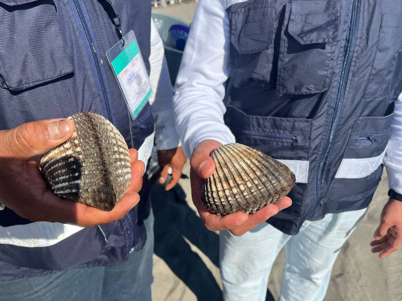 Salud establece veda sanitaria por marea roja en Bahía de Paredón, Chiapas