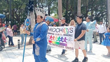 ImagenLamentan Jarochos Lésbico-Gay falta de respeto y agresiones a su comunidad