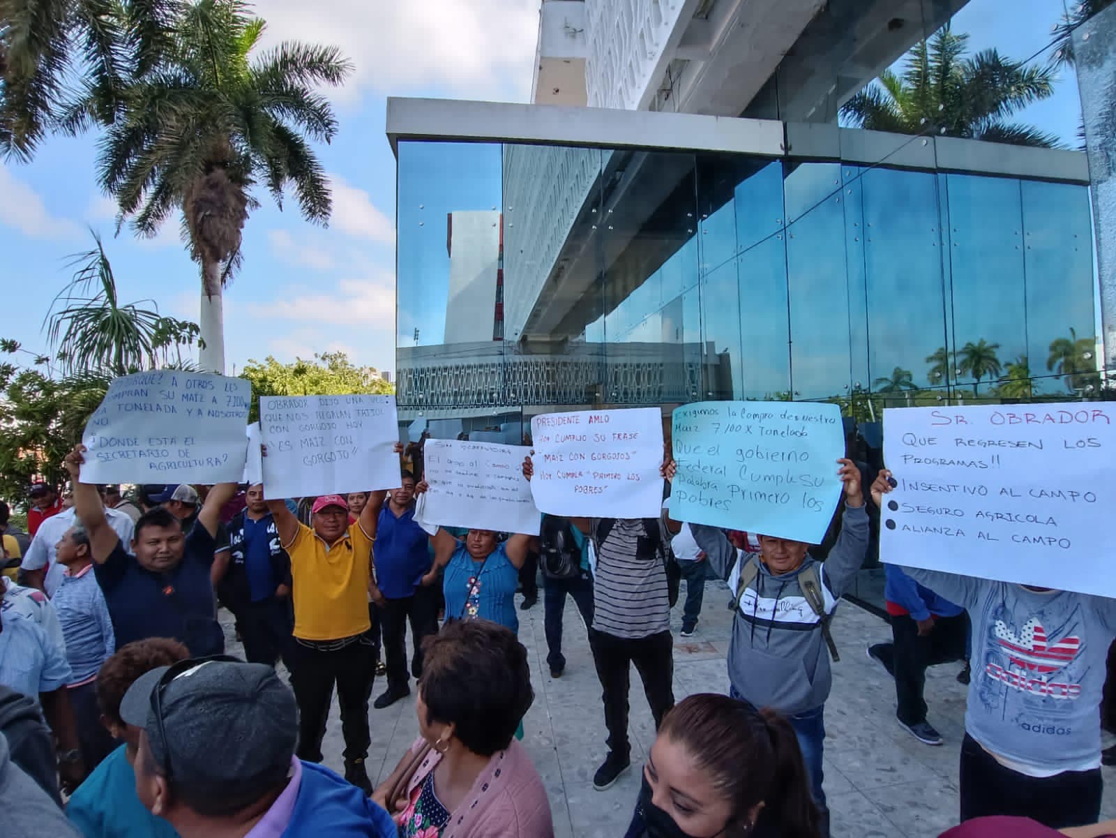 Campesinos exigen al gobierno de Campeche venta de maíz